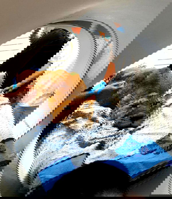 kesemgreenyer image ~ Altpins