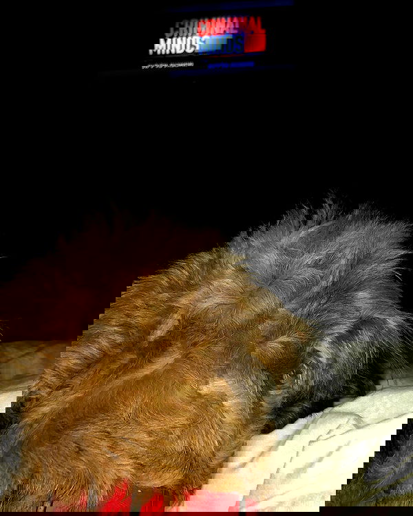 kesemgreenyer image ~ Altpins