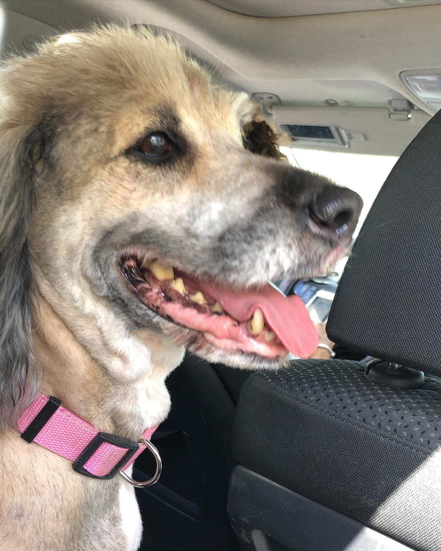 kesemgreenyer instagram image archive image