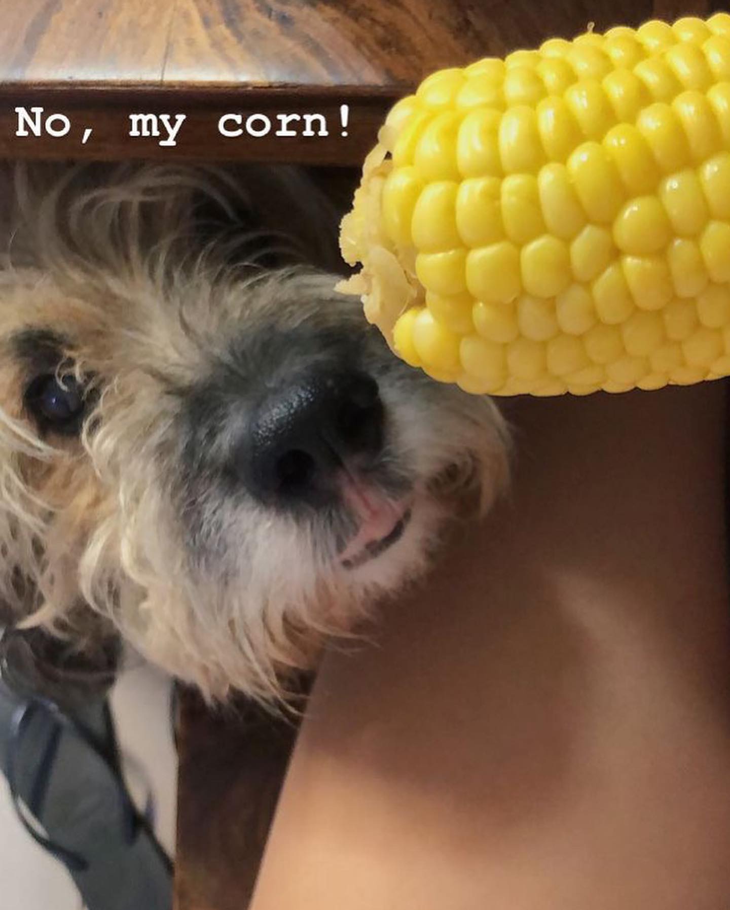 kesemgreenyer instagram image archive image