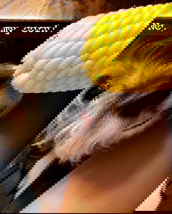 kesemgreenyer image ~ Altpins