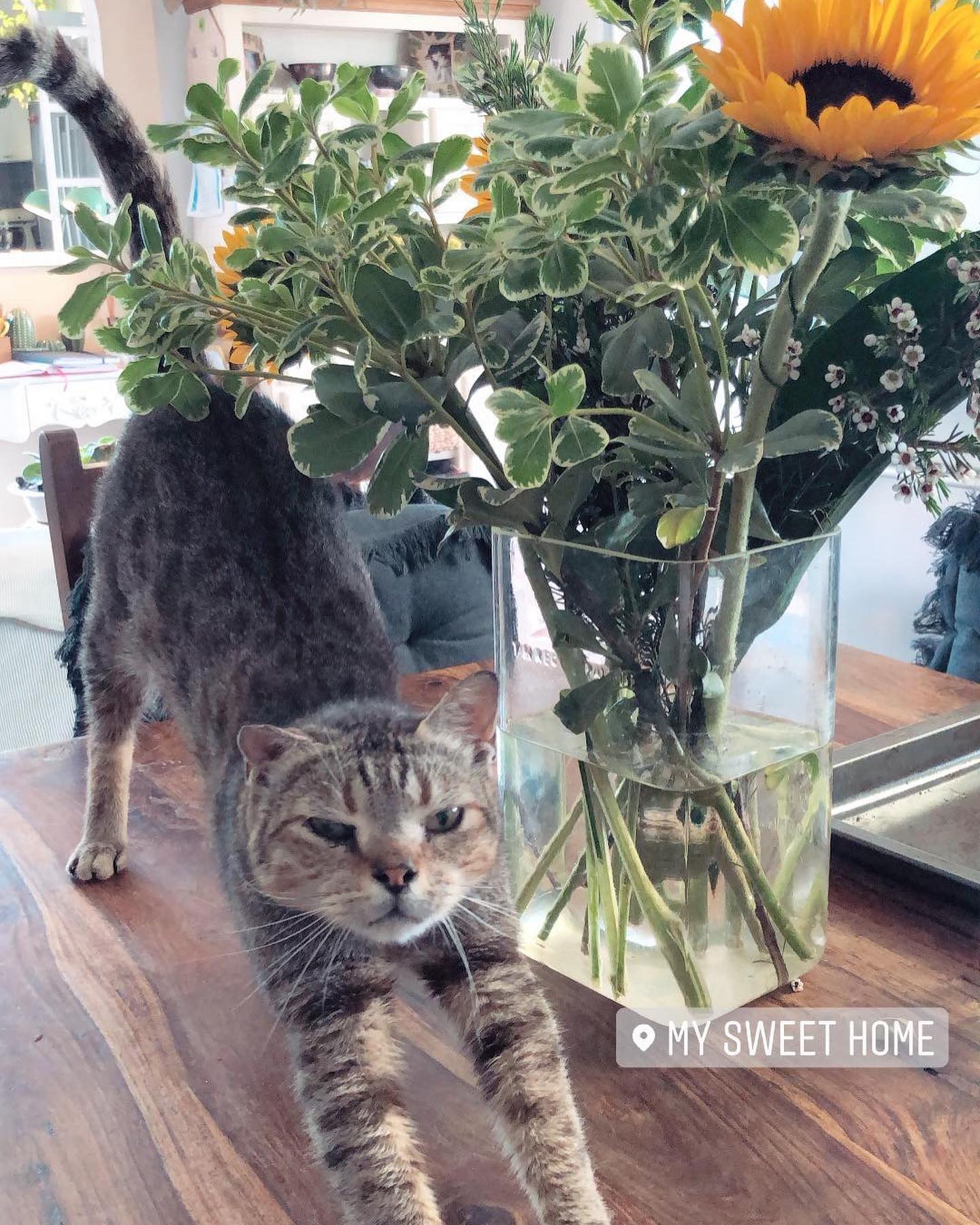 kesemgreenyer instagram image archive image