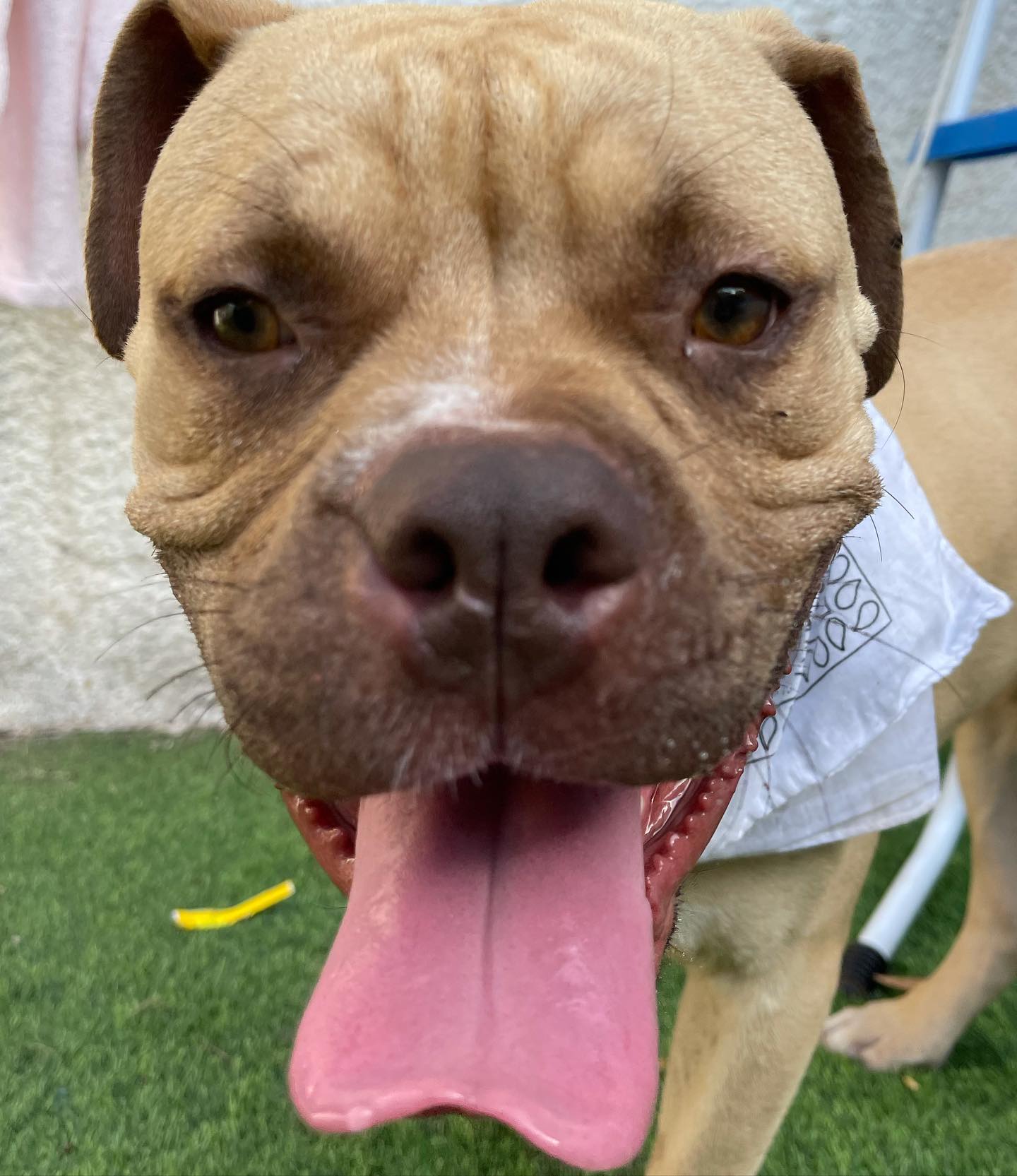 kesemgreenyer instagram image archive image