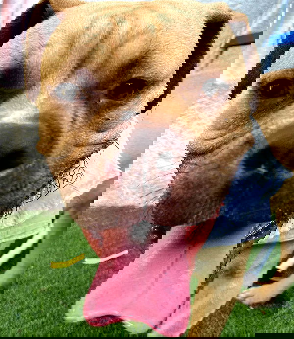 kesemgreenyer image ~ Altpins