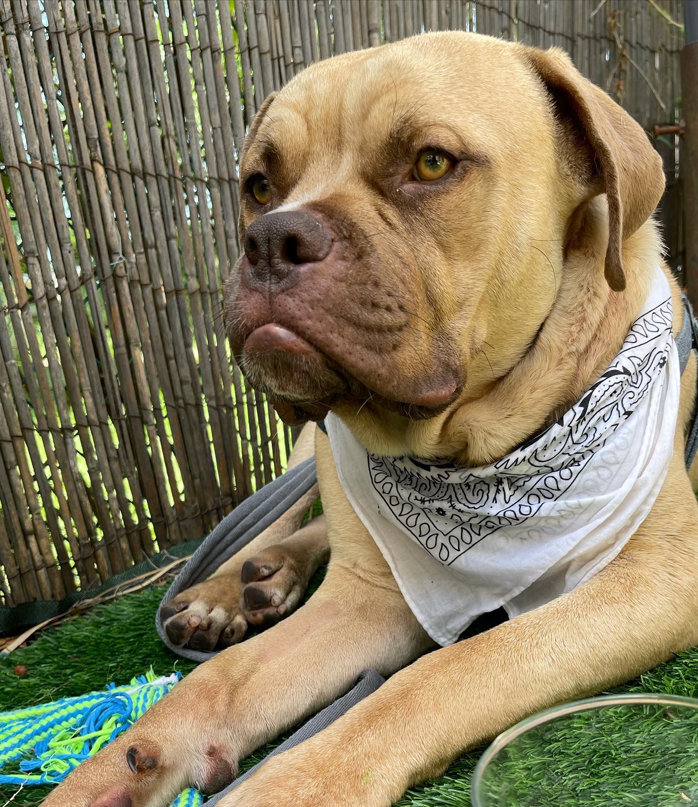 kesemgreenyer instagram image archive image