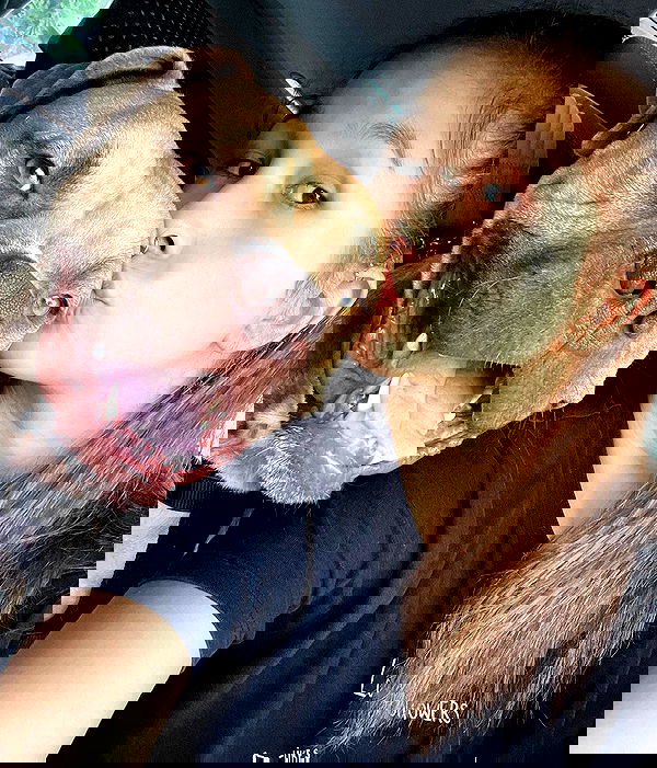 kesemgreenyer image ~ Altpins