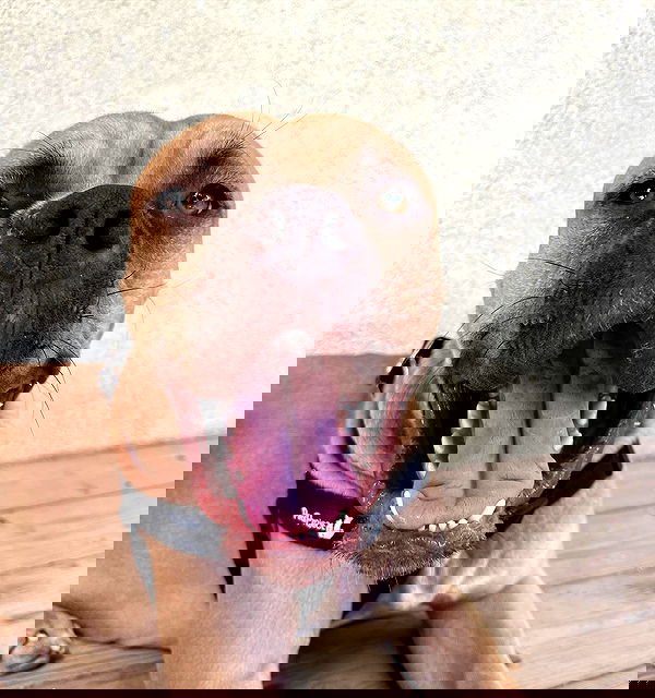 kesemgreenyer image ~ Altpins