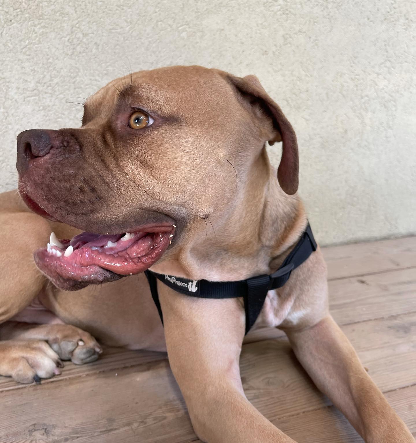 kesemgreenyer instagram image archive image