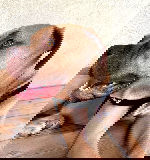 kesemgreenyer image ~ Altpins