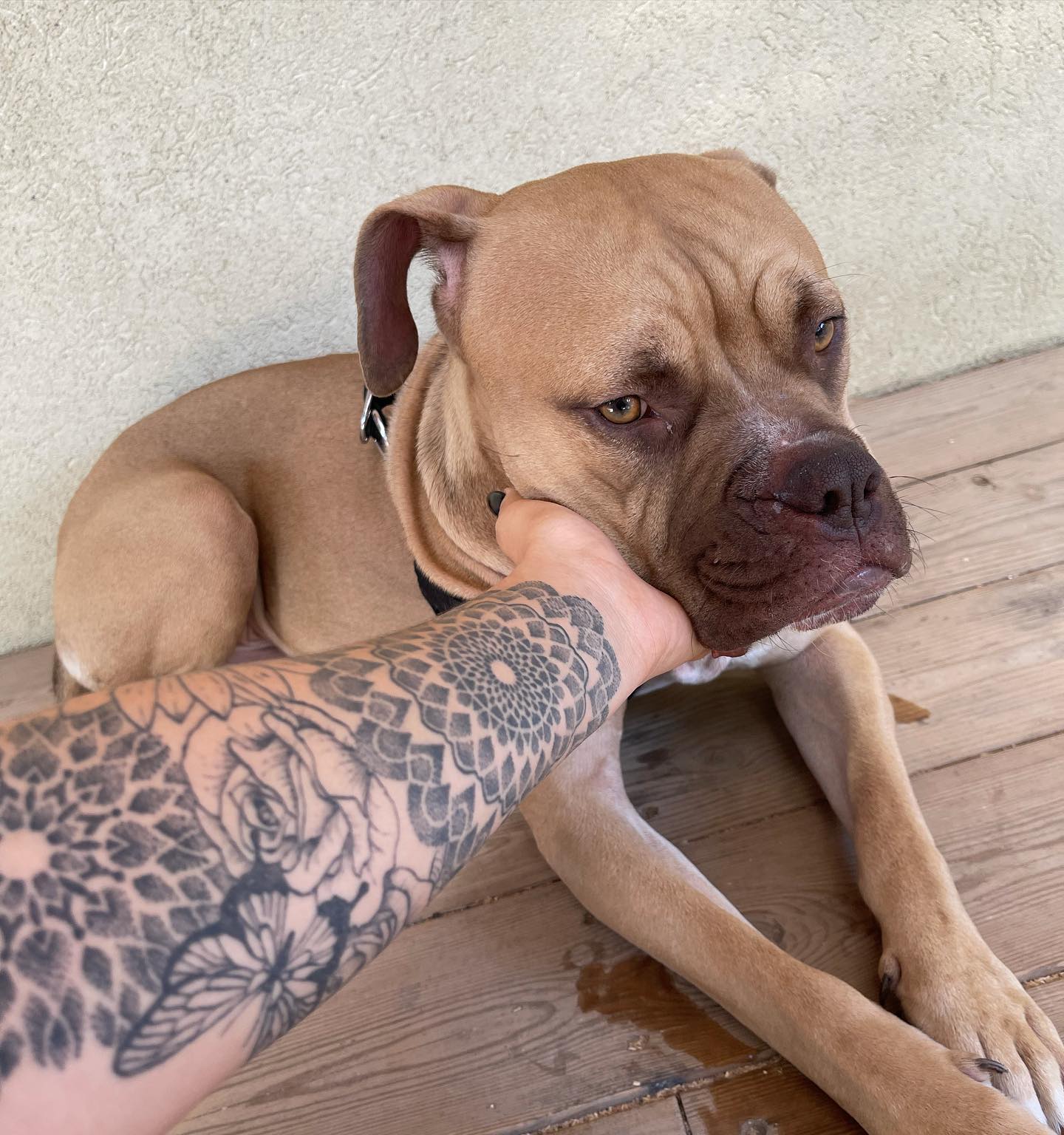 kesemgreenyer instagram image archive image