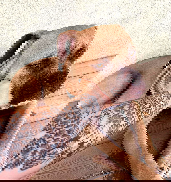 kesemgreenyer image ~ Altpins