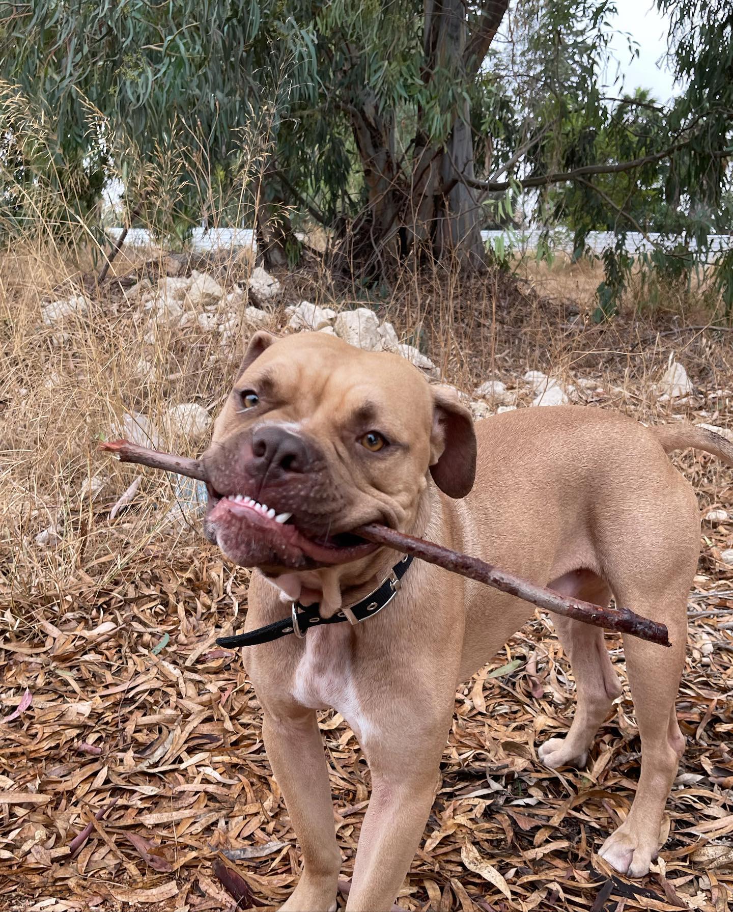 kesemgreenyer instagram image archive image