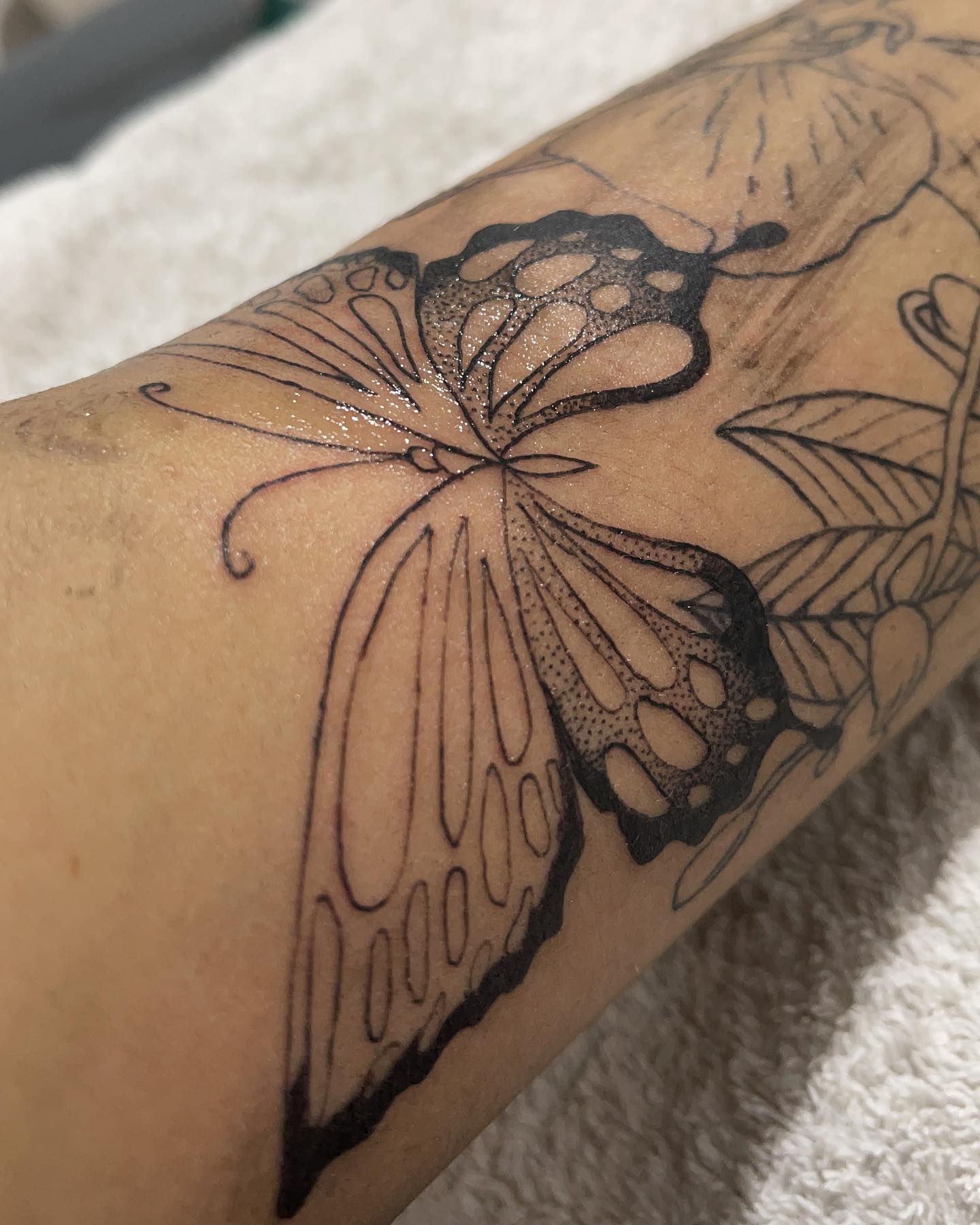 kesemgreenyer instagram image archive image