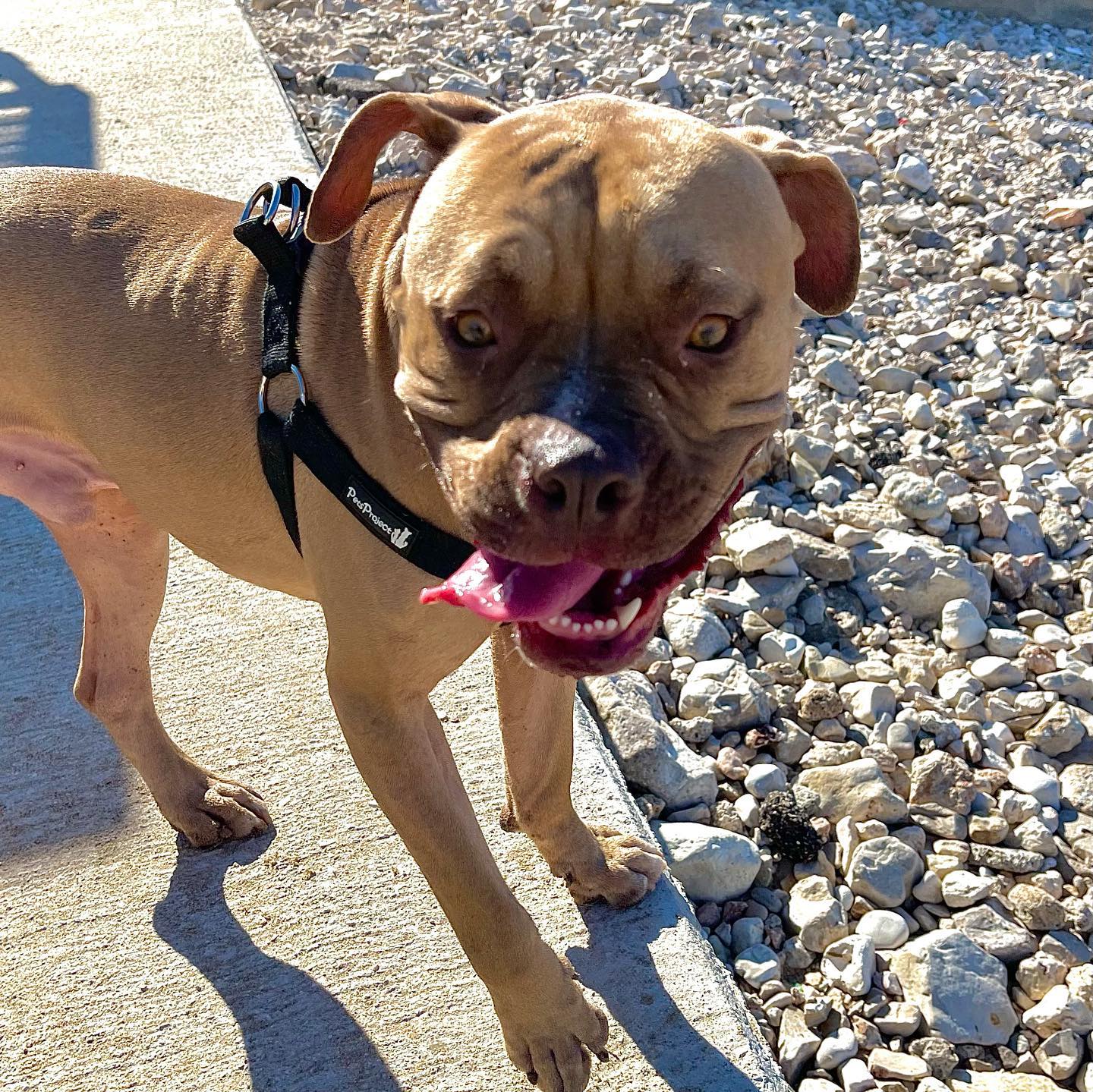 kesemgreenyer instagram image archive image