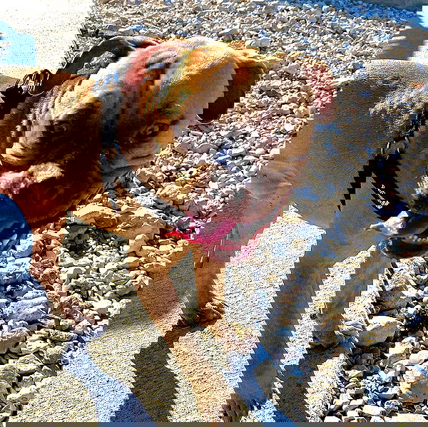 kesemgreenyer image ~ Altpins