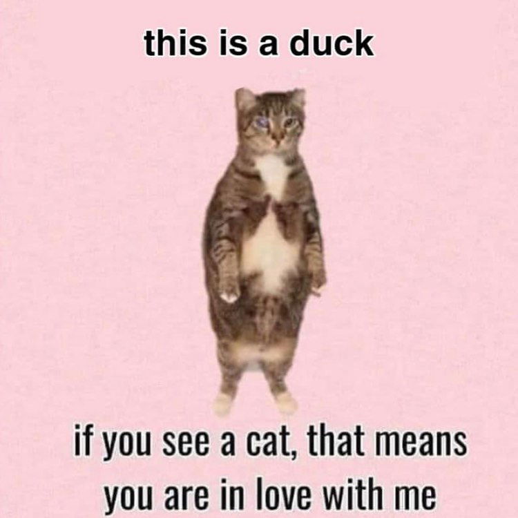 kesemgreenyer instagram image archive image