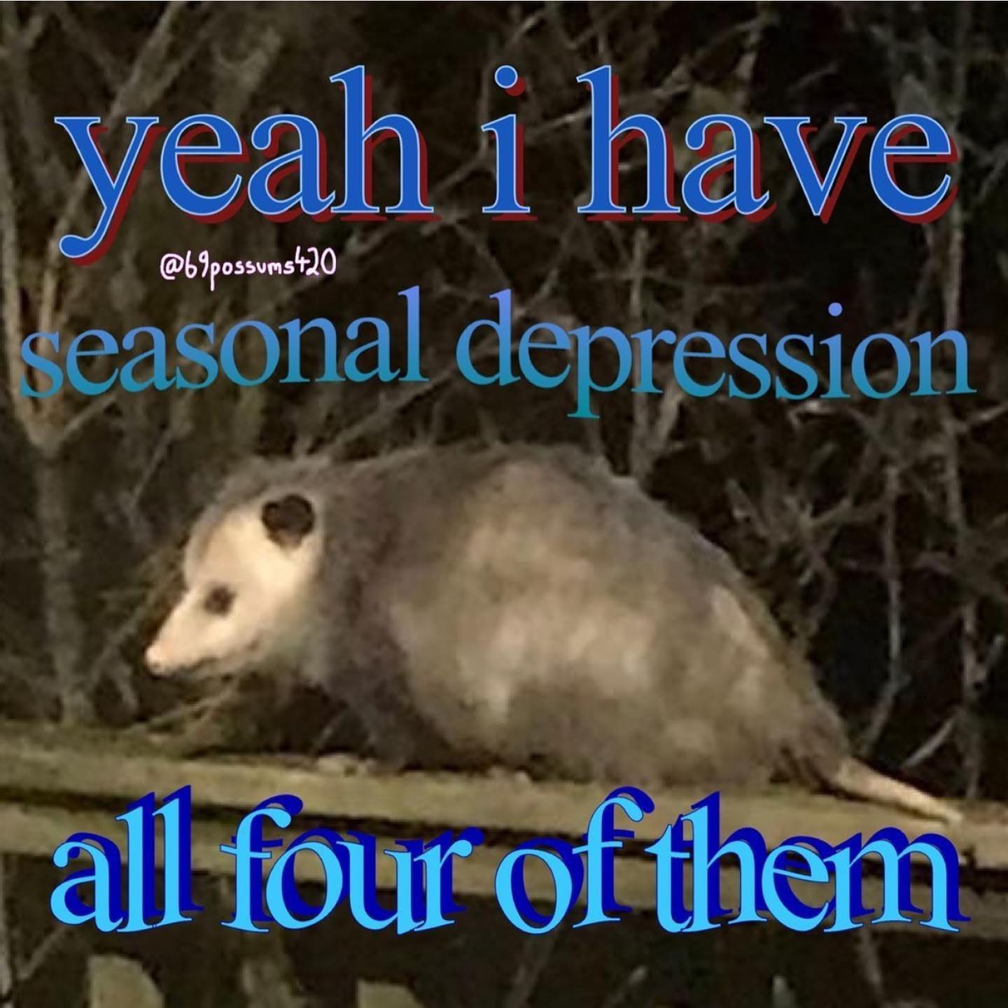 kesemgreenyer instagram image archive image