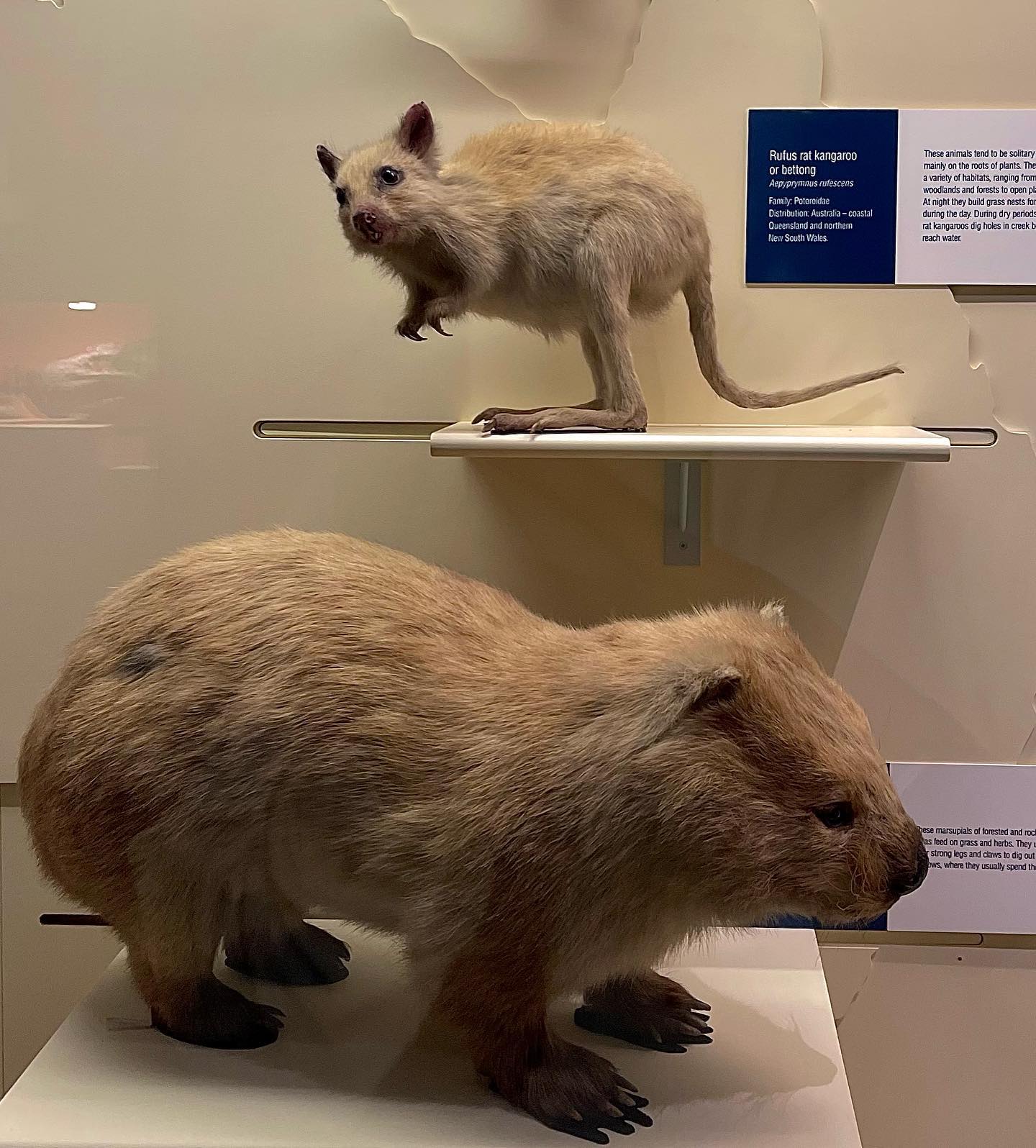 kesemgreenyer instagram image archive image