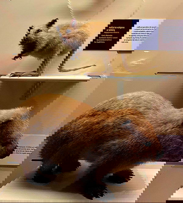 kesemgreenyer image ~ Altpins