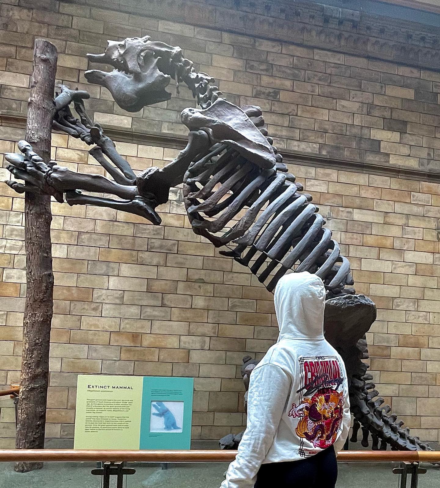 kesemgreenyer instagram image archive image