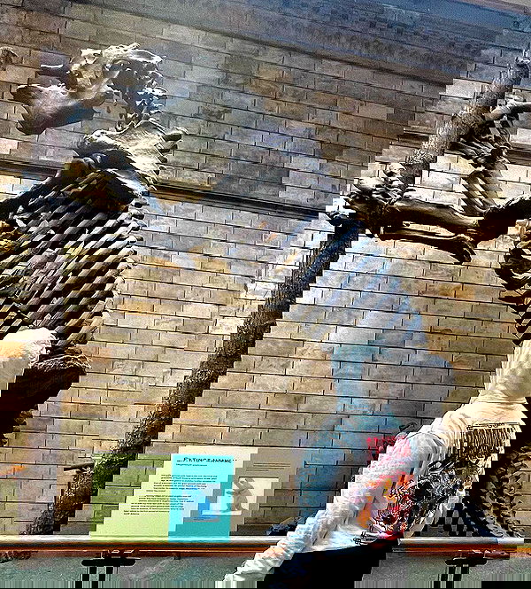 kesemgreenyer image ~ Altpins