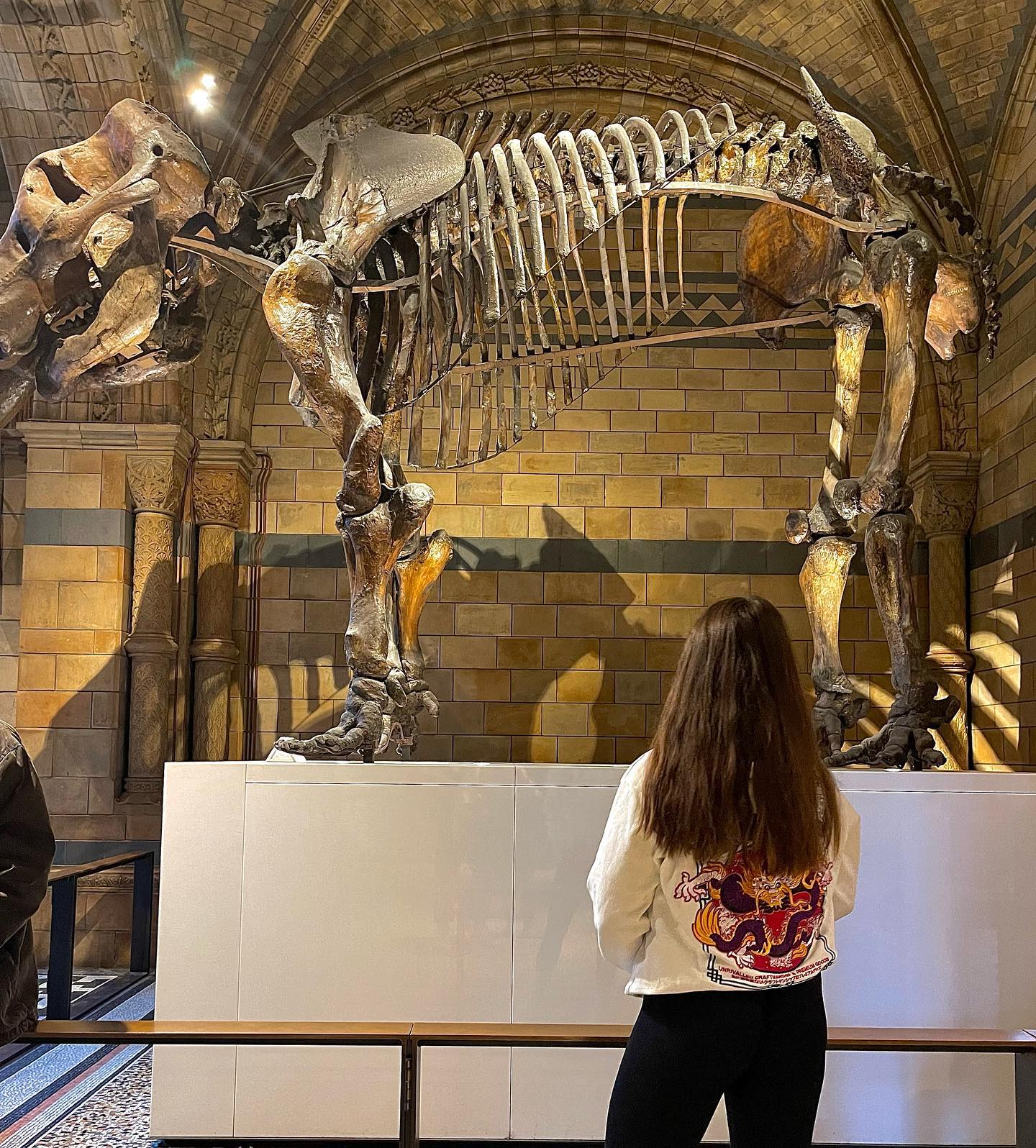 kesemgreenyer instagram image archive image