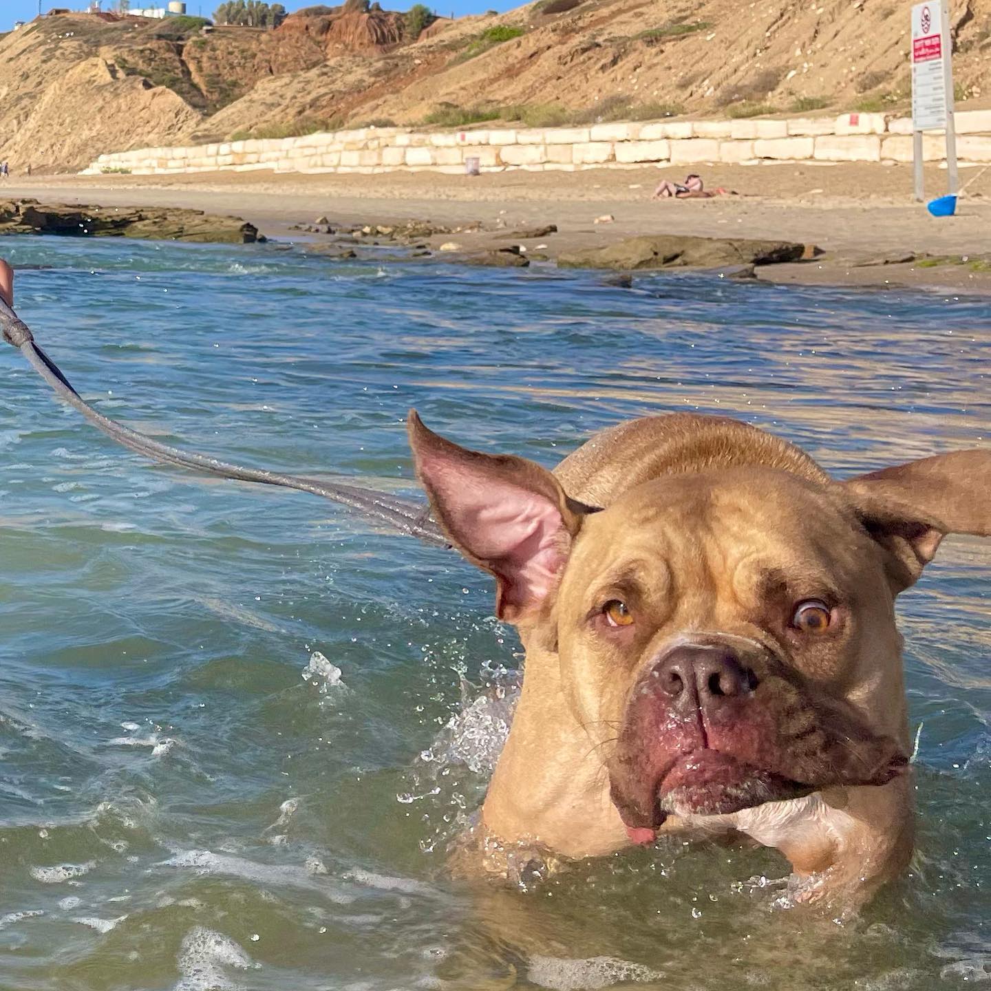 kesemgreenyer instagram image archive image