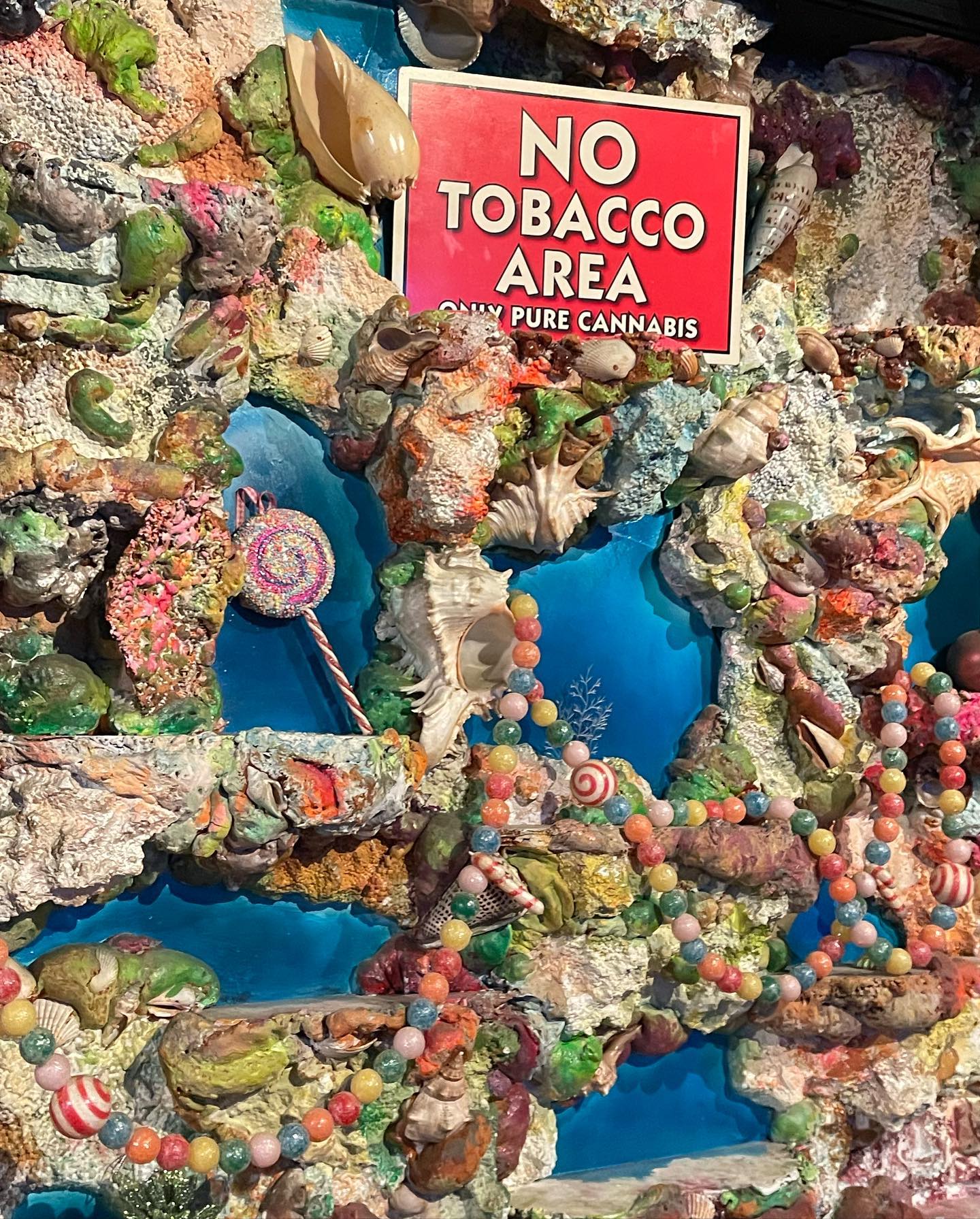 kesemgreenyer instagram image archive image