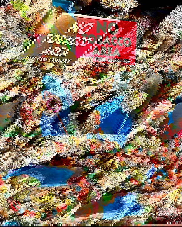 kesemgreenyer image ~ Altpins