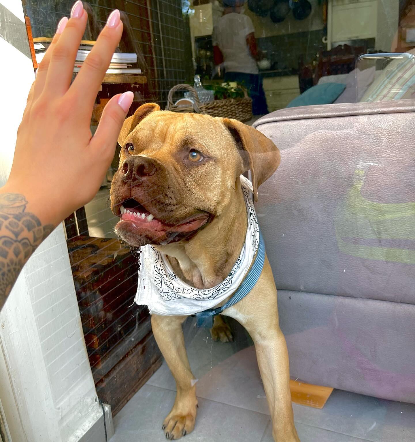 kesemgreenyer instagram image archive image