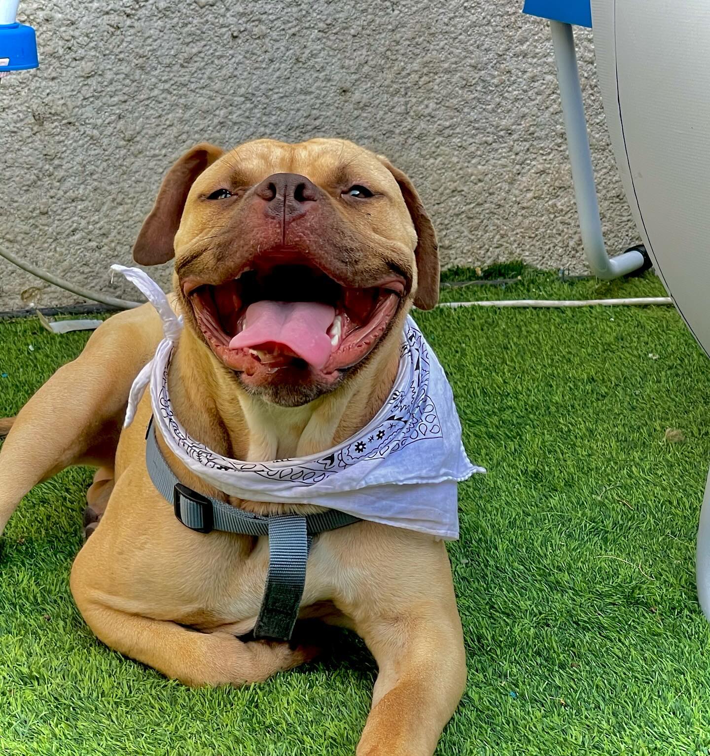 kesemgreenyer instagram image archive image