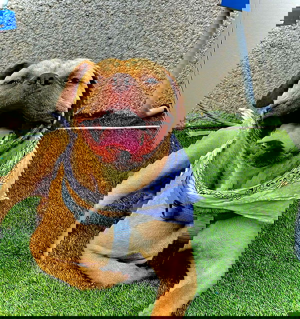 kesemgreenyer image ~ Altpins