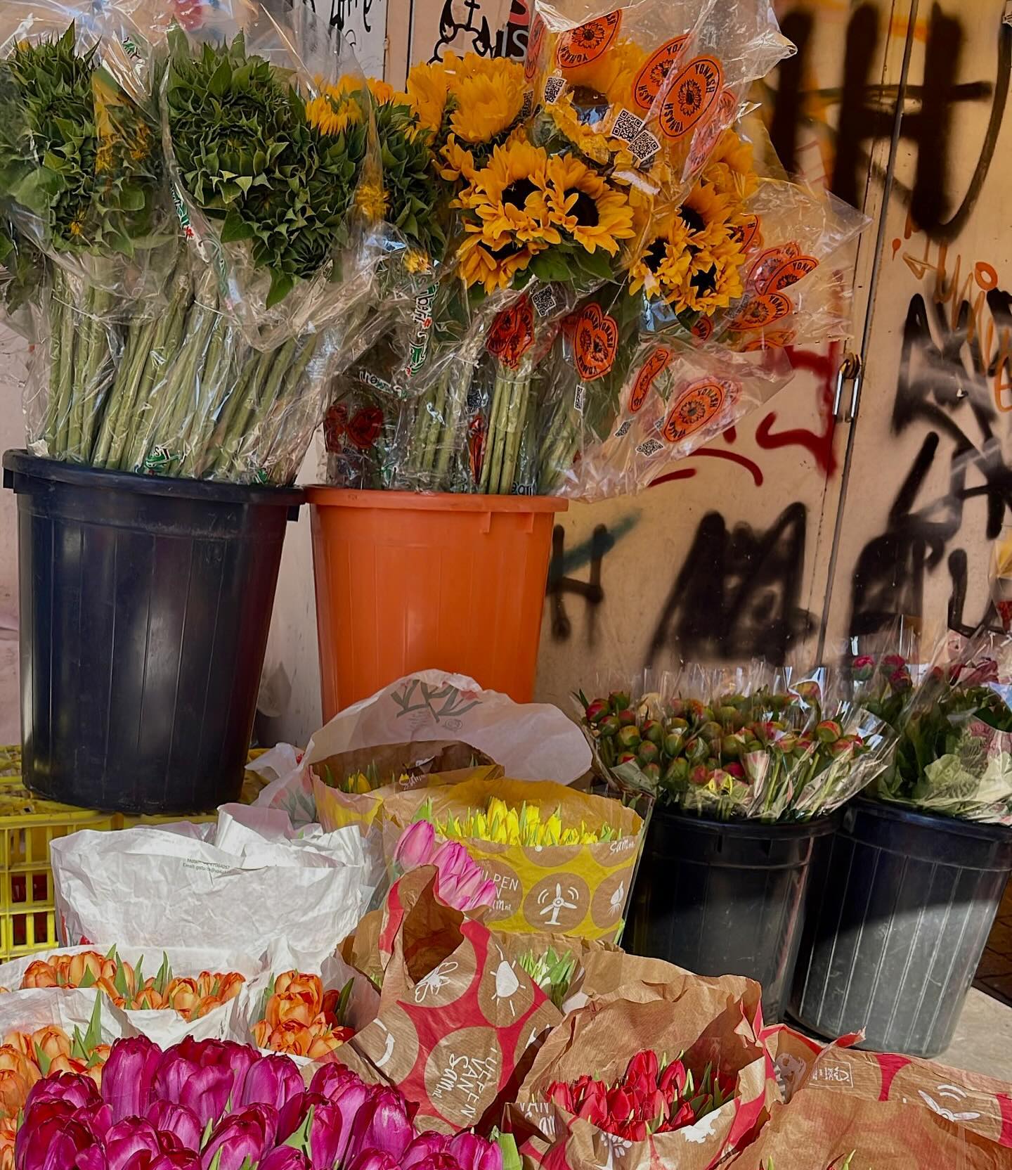 kesemgreenyer instagram image archive image