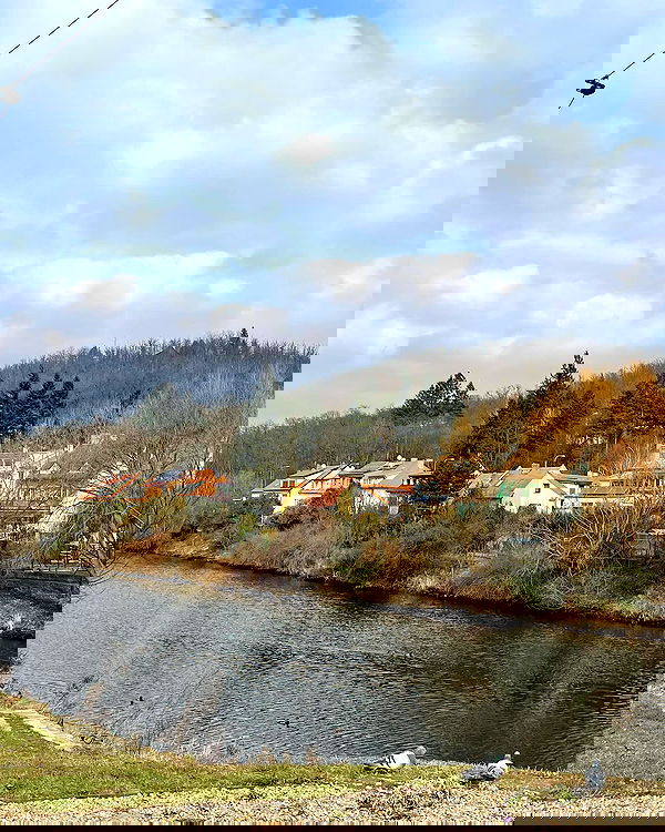 kesemgreenyer kesemgreenyer archive image