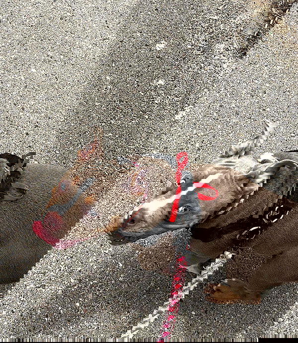 kesemgreenyer kesemgreenyer archive image