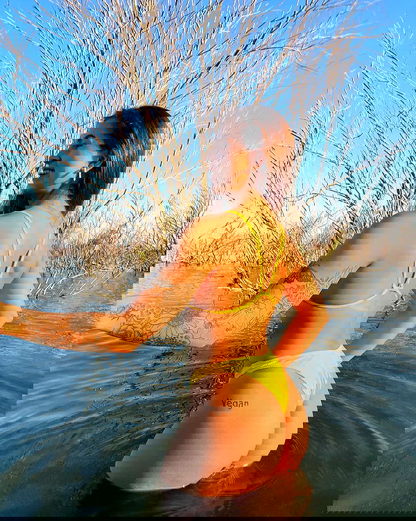 kesemgreenyer kesemgreenyer archive image