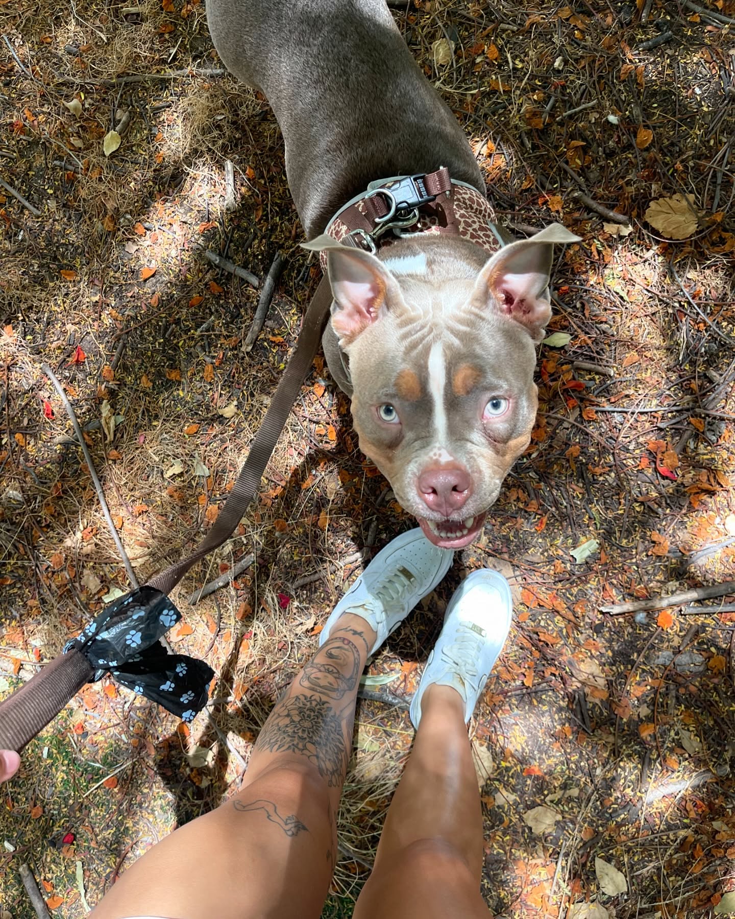 kesemgreenyer instagram image archive image