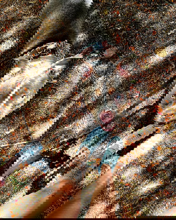 kesemgreenyer image ~ Altpins