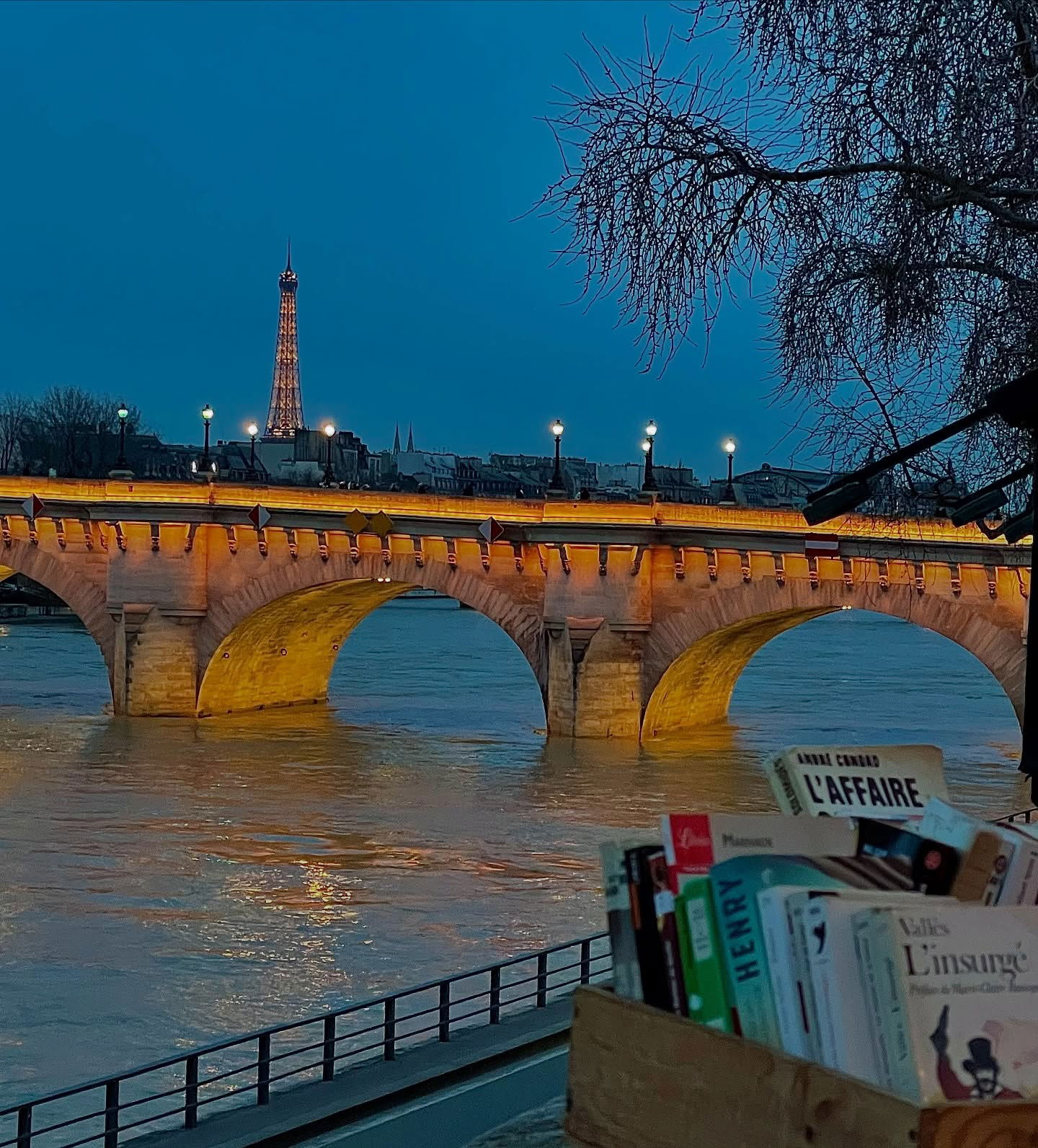 kesemgreenyer instagram image archive image