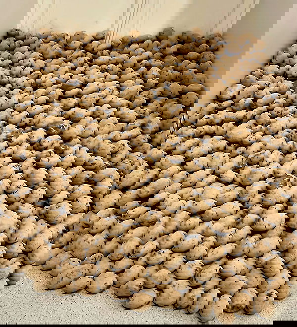 kesemgreenyer kesemgreenyer archive image