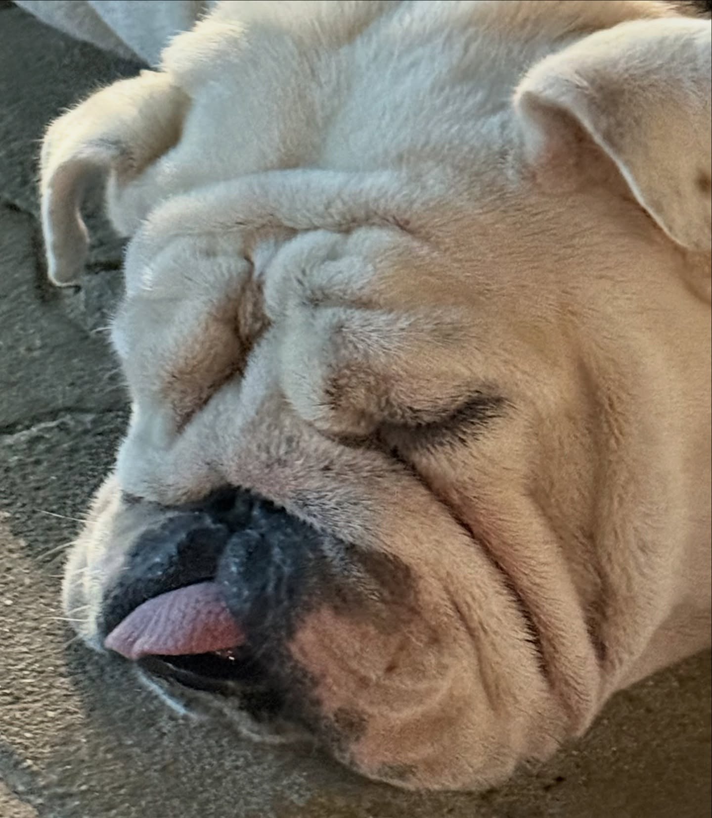 kesemgreenyer instagram image archive image