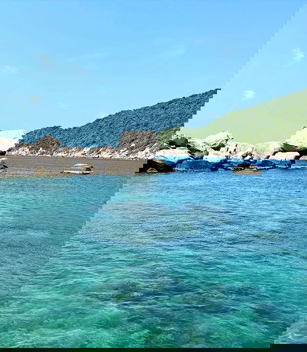 kesemgreenyer image ~ Altpins