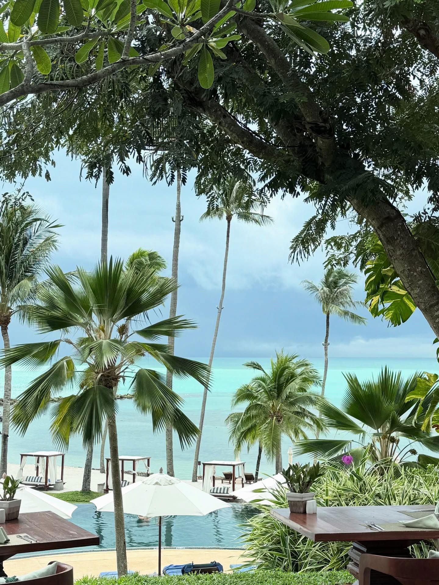 kesemgreenyer instagram image archive image