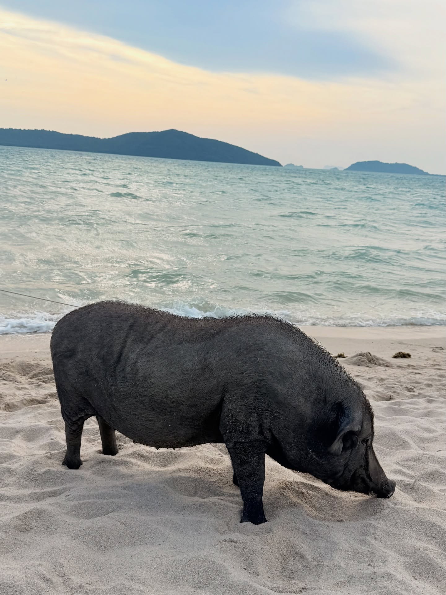 kesemgreenyer instagram image archive image