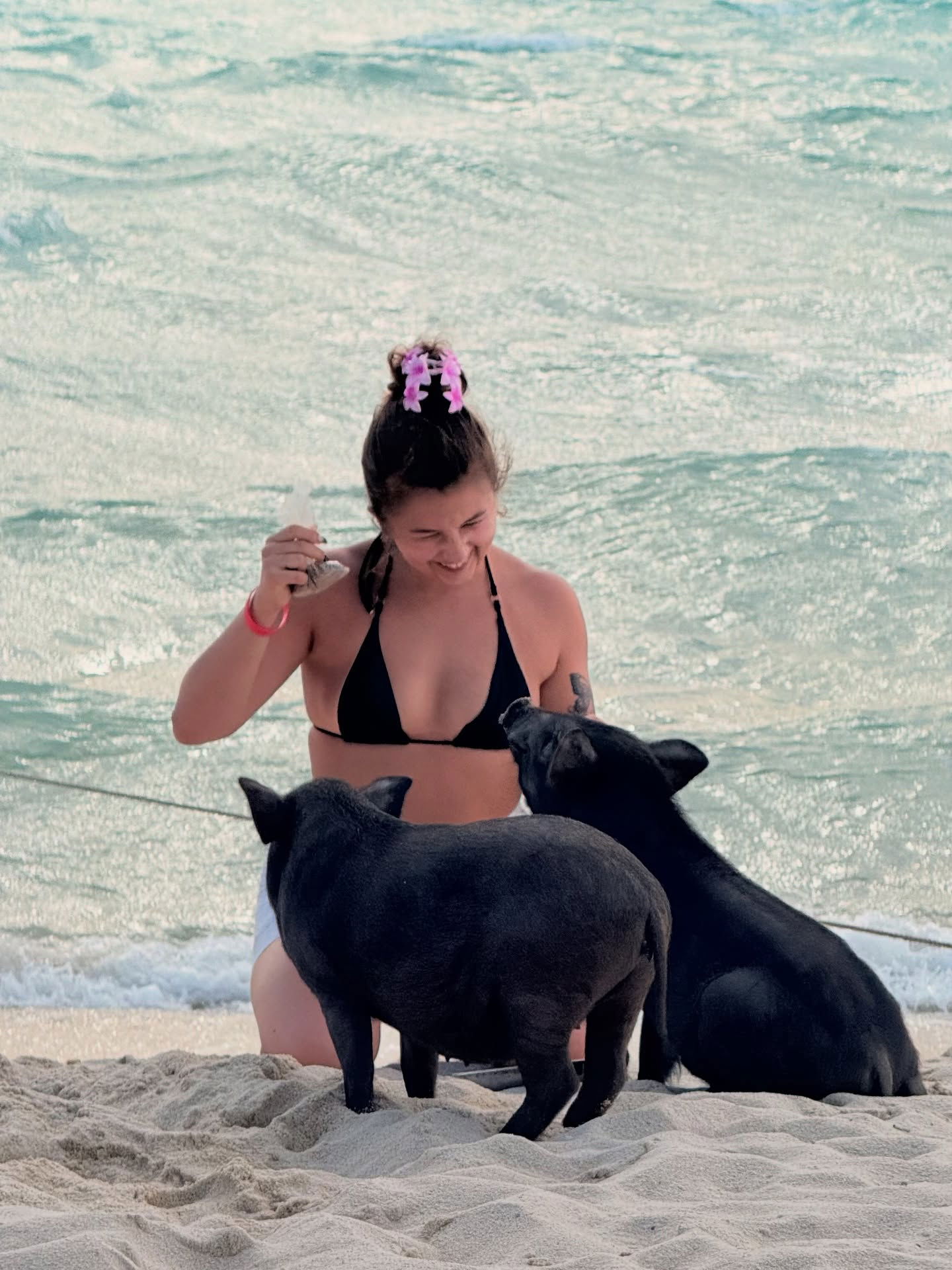 kesemgreenyer instagram image archive image