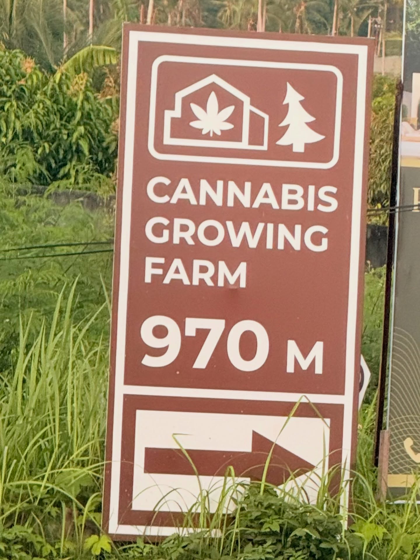 kesemgreenyer instagram image archive image