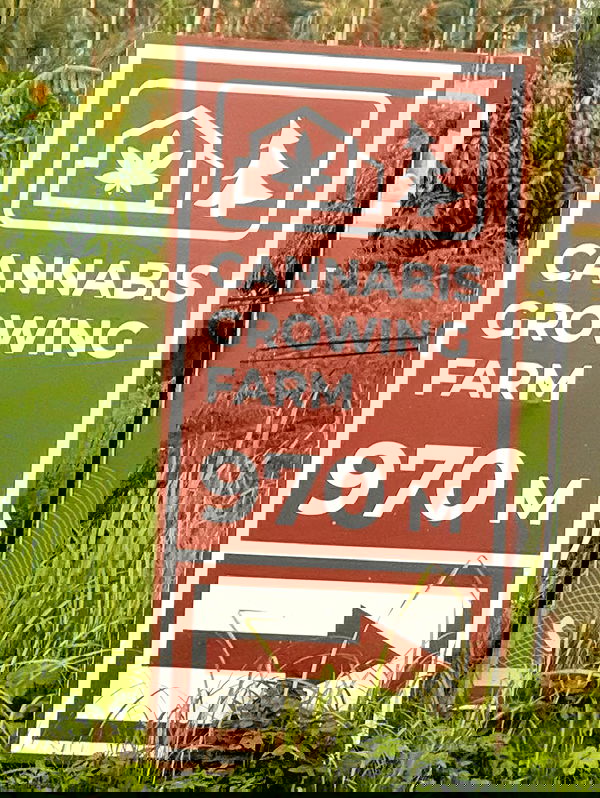 kesemgreenyer image ~ Altpins