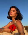 khelan.mh Altpins Profile Picture