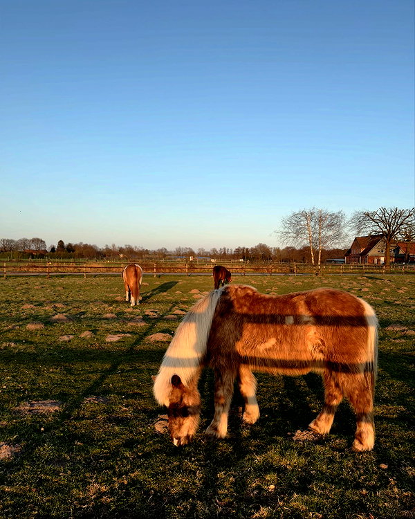 khelan.mh instagram image archive image