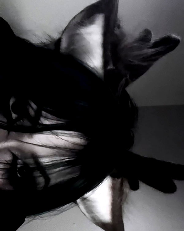 kill.ingkels instagram image archive image